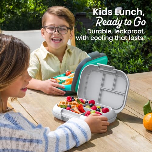 Top-down view of Bentgo Chill 4-compartment tray