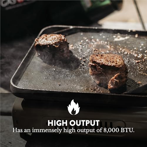 Portable stove inside carrying case