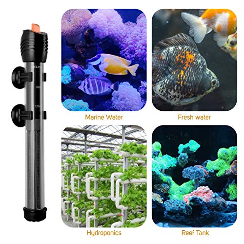 Orlushy 500W heater with free thermometer