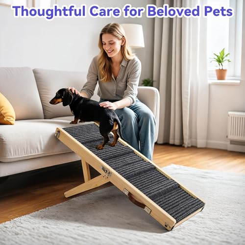 Portable Pawaboo dog ramp with carrying handle