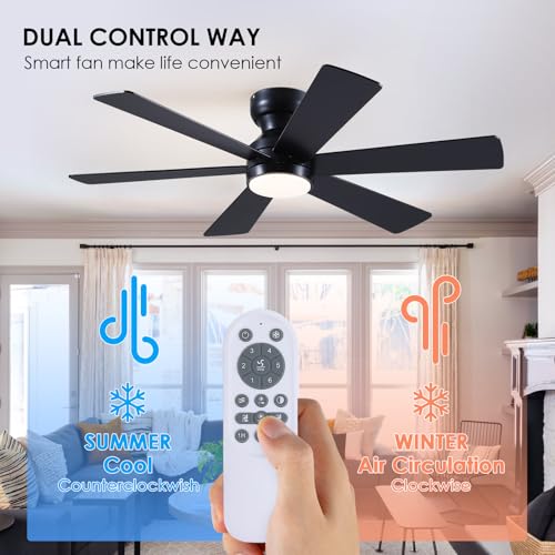 Modern black ceiling fan in living room