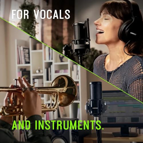 Shure SM4 included carrying case