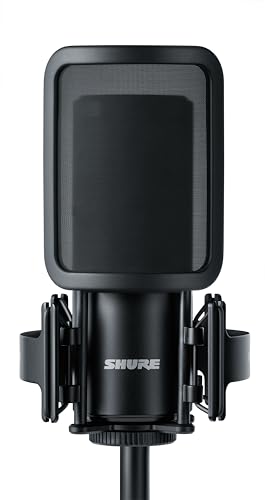 Shure SM4 studio setup