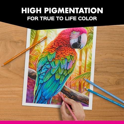 Prismacolor pencil artistic layering