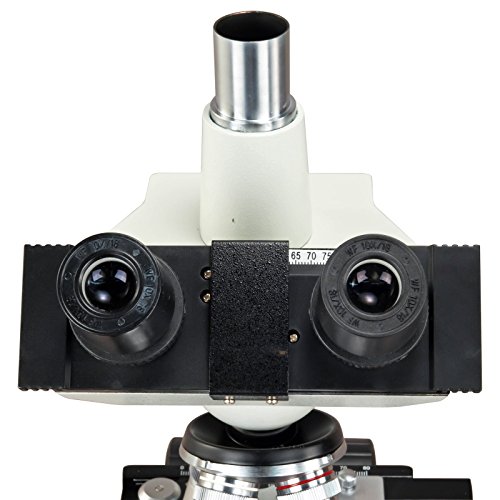 Trinocular lab compound microscope head and stage