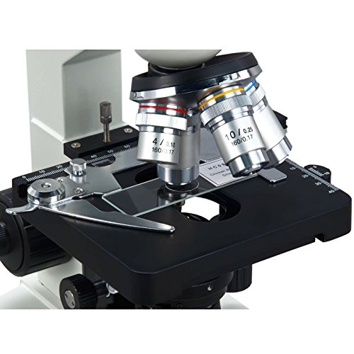 AmScope M83EZ-C13S with 1.3MP camera