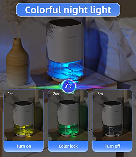 Transparent 35 oz water tank detail