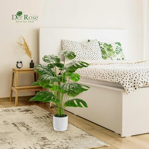 Der Rose plant placed in living room