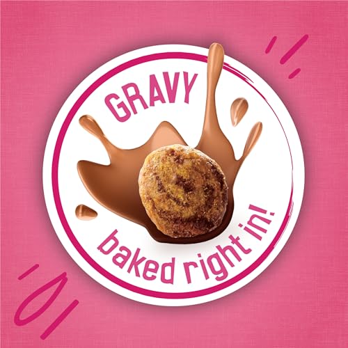 Close up of Friskies Gravy Swirlers kibble texture