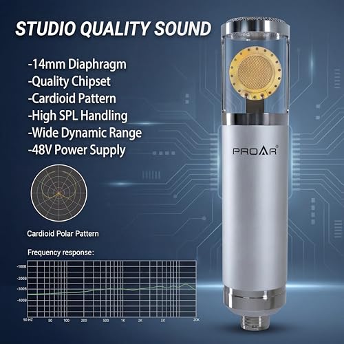 PROAR mic with pop filter and shock mount