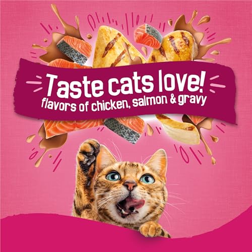 Friskies Gravy Swirlers packaging details