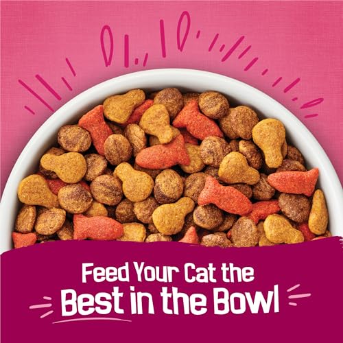 Cat eating from a bowl of Gravy Swirlers