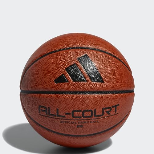 Basketball displayed for indoor or outdoor use