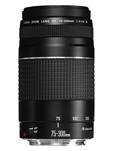 Black Canon 75-300mm lens casing