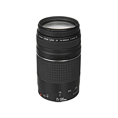 Telephoto lens focus ring details