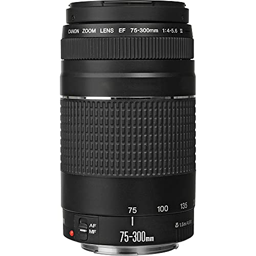 Side profile of Canon EF 75-300mm telephoto lens