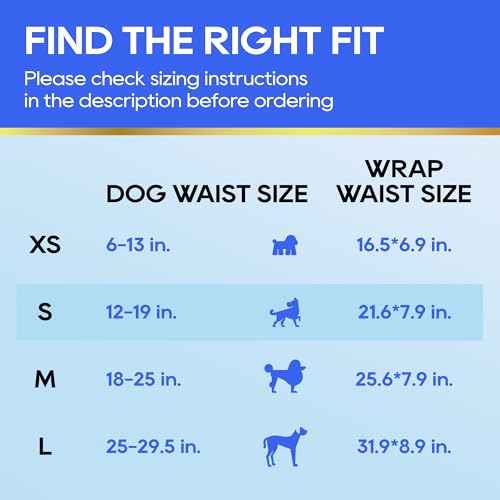 HONEY CARE male dog wrap with breathable layer