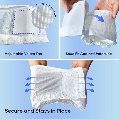 HONEY CARE dog wrap with 6-layer protection