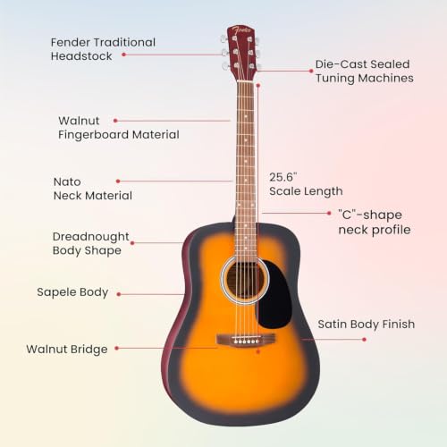 Austin Bazaar instructional DVD for guitar