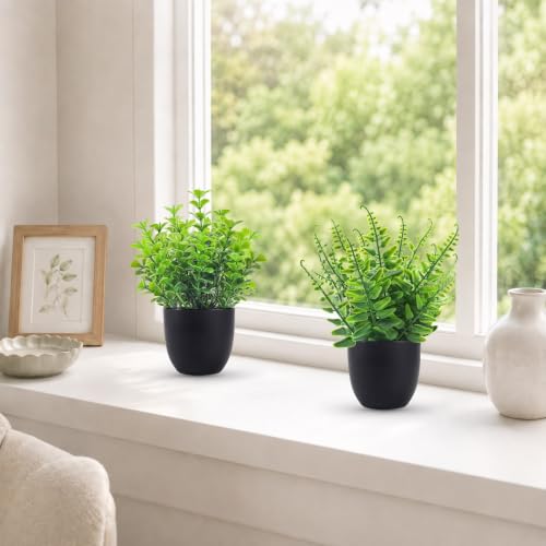 Der Rose mini plant set in a bathroom setting
