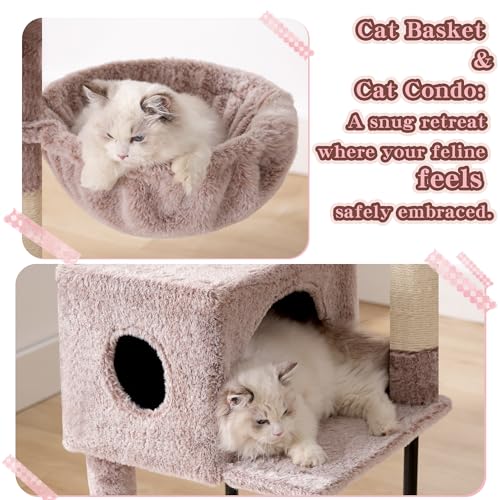 Cozy cat basket feature of the Heybly tower