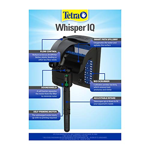 Filter hang on back mounting bracket