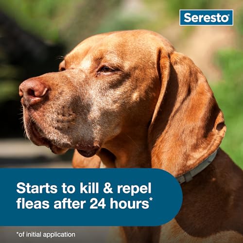 Seresto flea and tick prevention kit