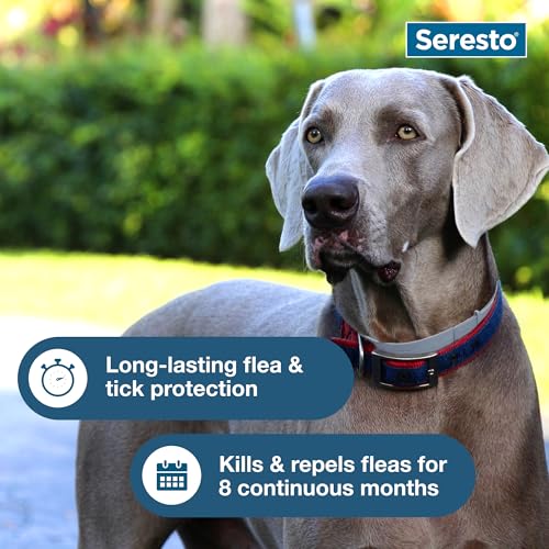 Seresto collar model 86030594 box