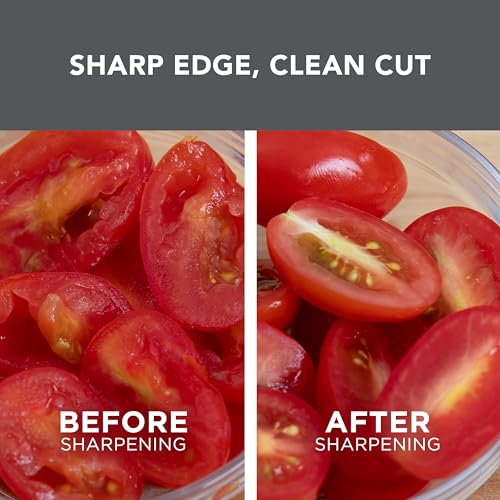 Professional gray electric knife sharpener top angle