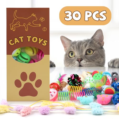 Complete QUOZUO 30 piece kitten toy collection