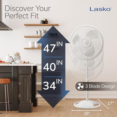 Lasko oscillating fan base and controls