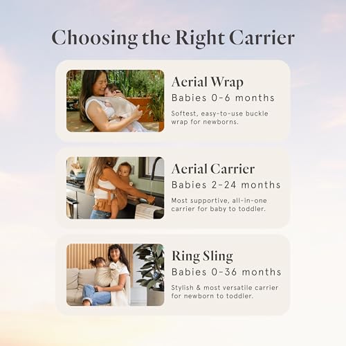 WildBird Aerial Buckle Wrap folded for storage