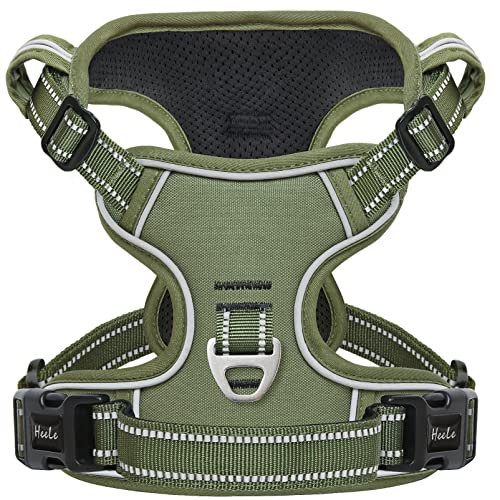 HEELE green dog harness front view