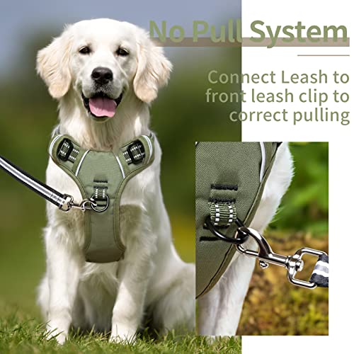 HEELE padded dog harness back view