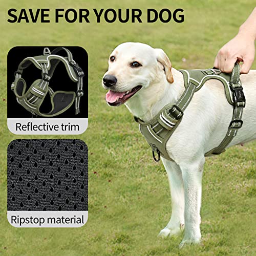 HEELE size M harness with leash rings