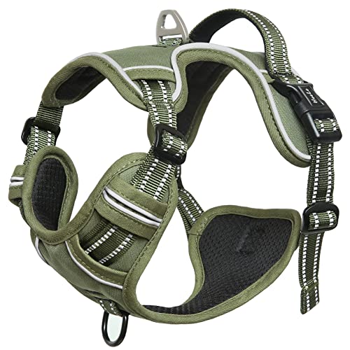 HEELE harness showing adjustable straps