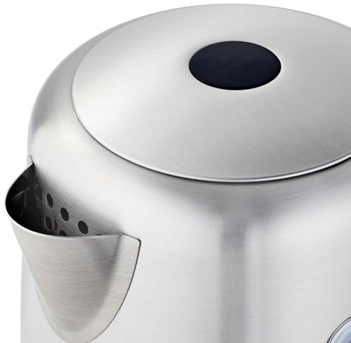 Electric kettle with auto shut-off