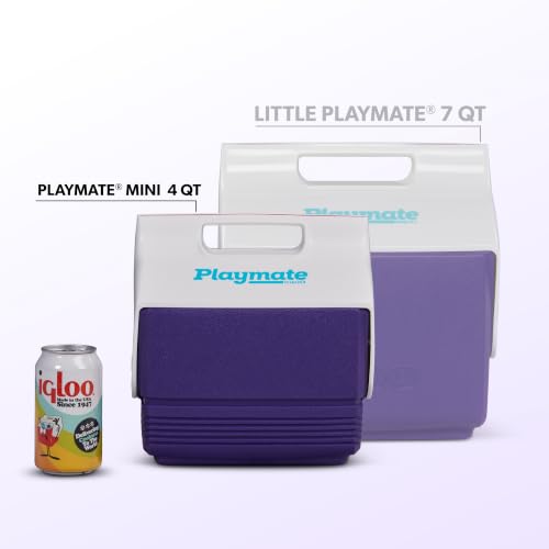 Side profile of the purple Igloo Retro Playmate Mini