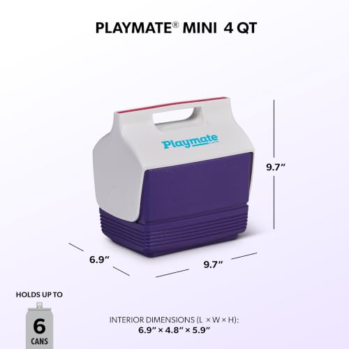 Igloo Retro Playmate Mini lid swiveled open