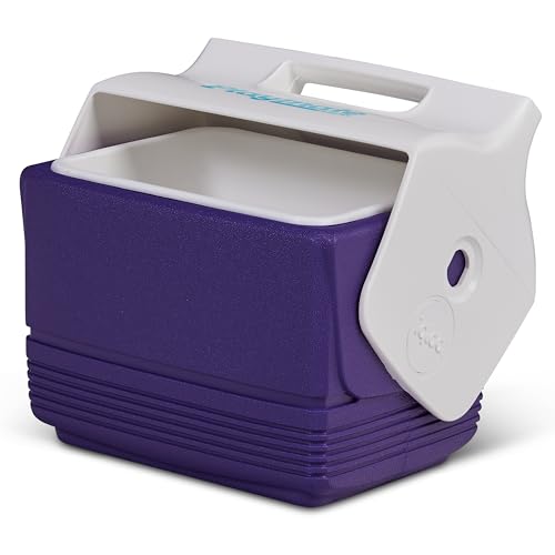 Close up of Igloo brand logo on cooler