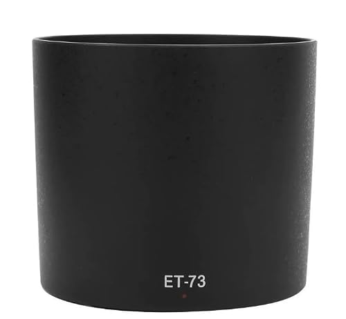 Canon RF100mm lens mount and rear element