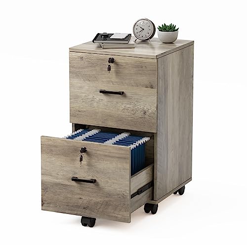 VINGLI 2 Drawer File Cabinet Rustic Gray