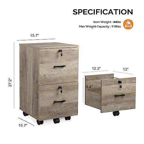 VINGLI file cabinet holding letter size folders