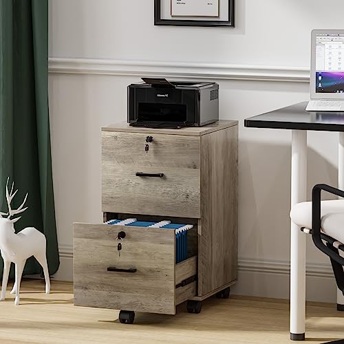 VINGLI file cabinet supporting a printer