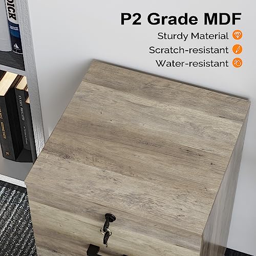 VINGLI file cabinet rustic gray wood grain finish