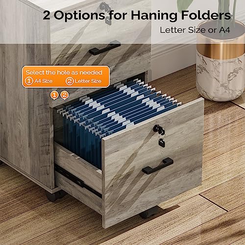 VINGLI 2 Drawer File Cabinet dimensions