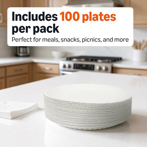 Single Basics paper plate 9-inch view