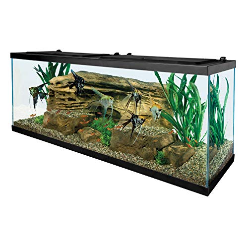 Tetra 55 Gallon Glass Aquarium rectangular profile