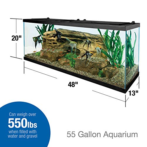 Tetra 55 Gallon Glass Aquarium top opening