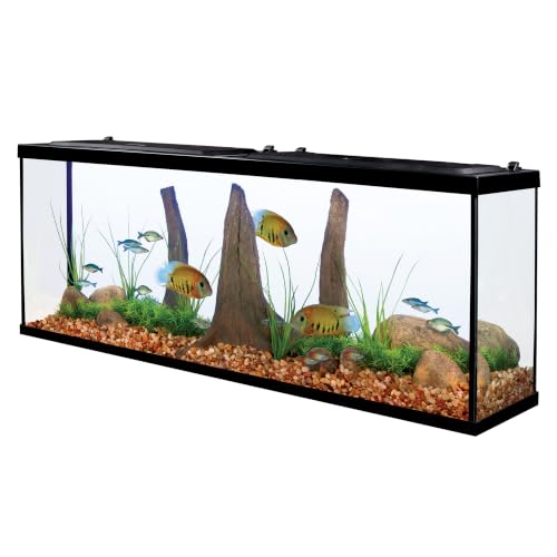 Tetra 55 Gallon Glass Aquarium side view
